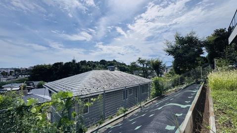 緑に囲まれた静かな住宅地の景色