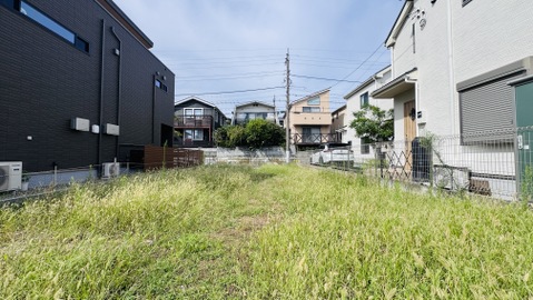 周辺に住宅が建ち並ぶ、草が生えた空き地の様子