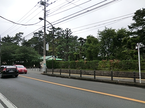 相模女子大学幼稚部　距離約400m