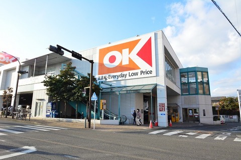 オーケー　伊勢原店　距離約750m