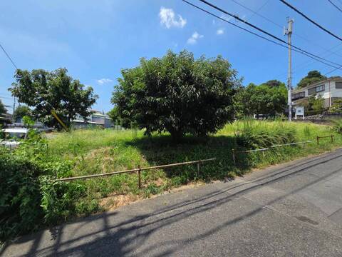 ◇お気軽にお問い合わせください。◇