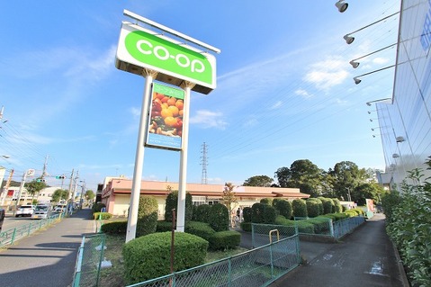 コープみらい　コープときわ店　距離約650m