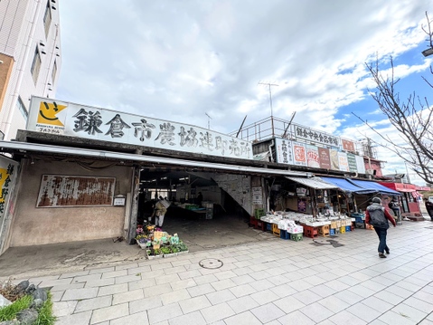 鎌倉中央食品市場　距離約750m