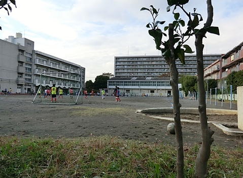 横浜市立大豆戸小学校まで約700m