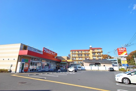 ツルハドラッグ　川崎下麻生店　距離約550m