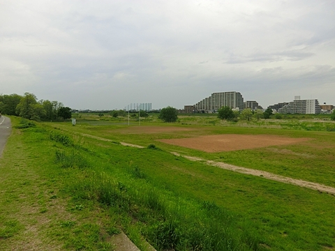 多摩川緑地公園まで約2400m