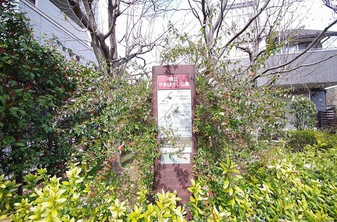 世田谷区立梅丘やまぼうし公園まで約2700m