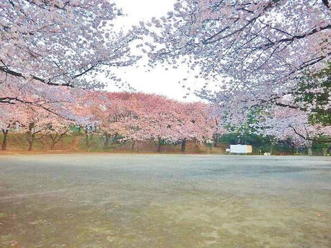 小台公園　距離約450m