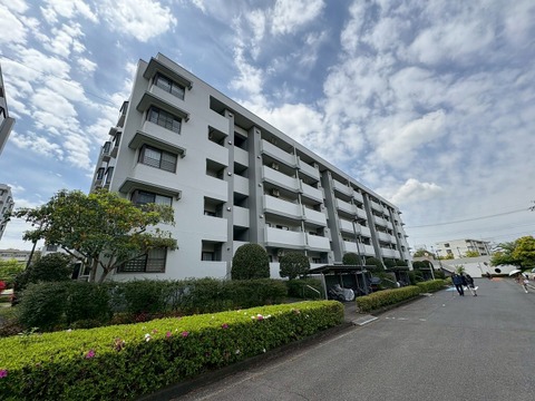 〇お問い合わせはお気軽に〇