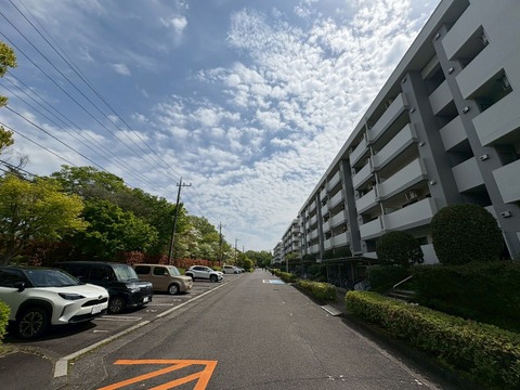 〇お問い合わせはお気軽に〇