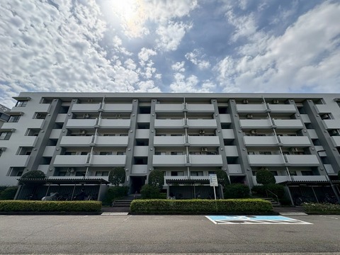 〇お問い合わせはお気軽に〇