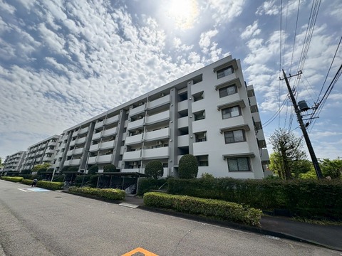 〇お問い合わせはお気軽に〇