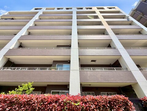 内見可能物件です！お気軽にお問い合わせください。