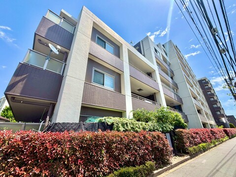 内見可能物件です！お気軽にお問い合わせください。