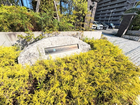 お気軽にお問い合わせください