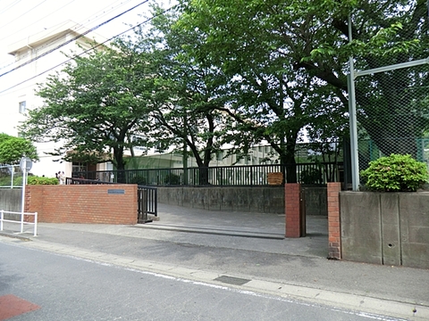 藤沢市立新林小学校　距離約100m