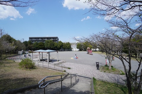 保木公園　距離約60m