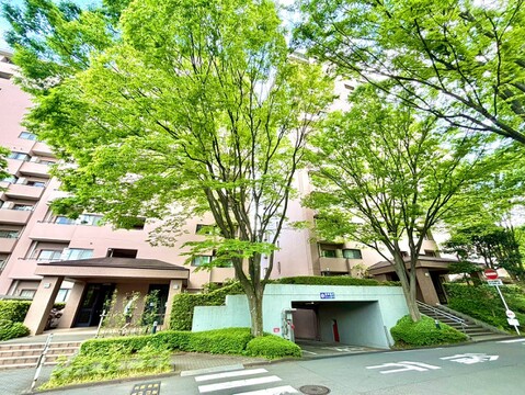 お気軽にお問い合わせください。