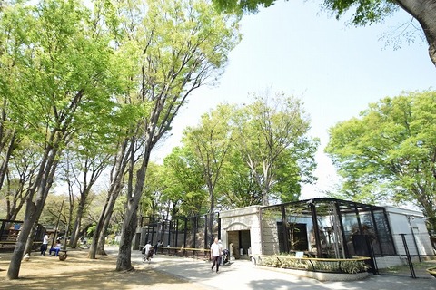 夢見ケ崎動物公園　距離約1700m