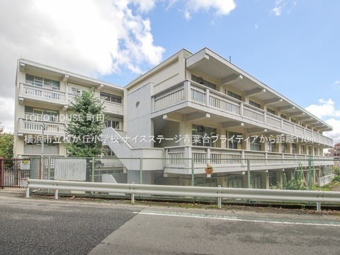 横浜市立榎が丘小学校まで約180m