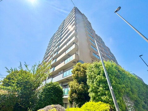 新規リノベーション完成間近！お気軽にお問い合わせください。