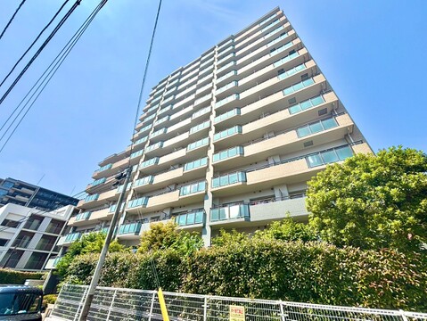 新規リノベーション完成間近！お気軽にお問い合わせください。