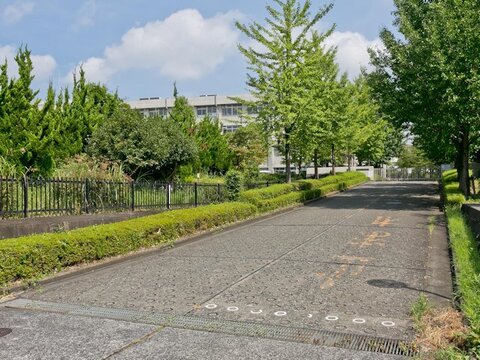 多摩市立青陵中学校まで約900m