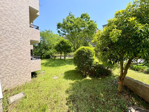 緑豊かな眺望が臨めます