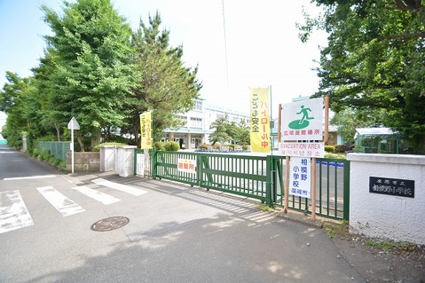 座間市立相模野小学校　距離約250m