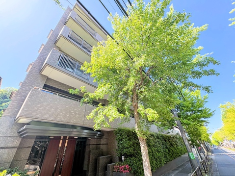 お気軽にお問い合わせください