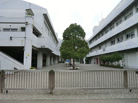 横浜市立新鶴見小学校まで約500m