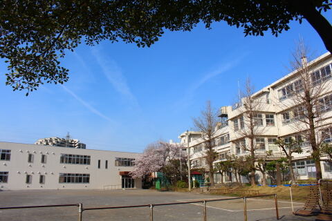 川崎市立久地小学校まで約810m