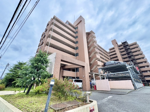 南東角部屋♪3路線利用可♪目の前にバス停がございます♪