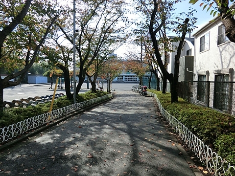 横浜市立新田小学校まで約220m