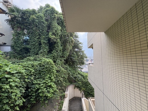 リフォーム中♪お問合せおまちしております。