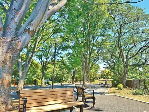 子安台公園まで約1500m