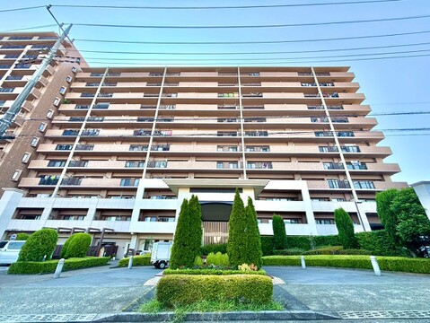お気軽にお問合せくださいませ♪