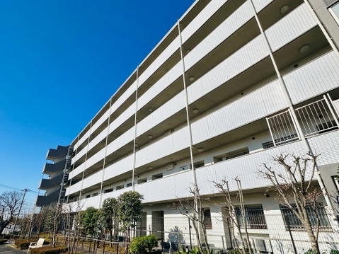 ● お気軽にお問い合わせください ●