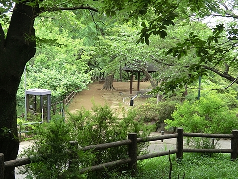 大倉山公園　距離約1400m