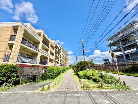 青空の下、両側に住宅が並ぶ見通しの良い道路風景