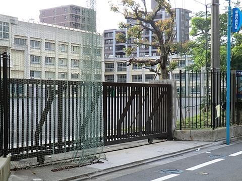 川崎市立南河原中学校　距離約800m