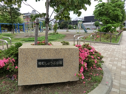 樽町しょうぶ公園　距離約900m