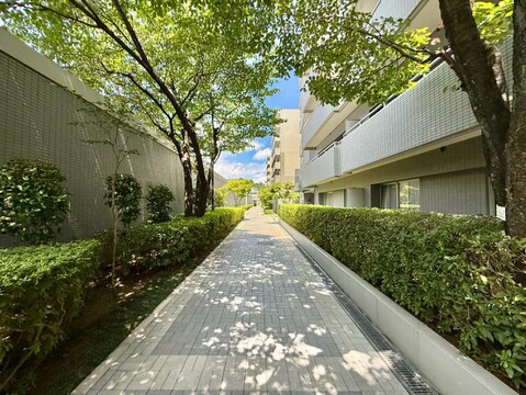 緑が豊かな歩道と建物外観の共用部です