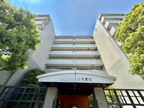 複数階の集合住宅の外観両側に木がある
