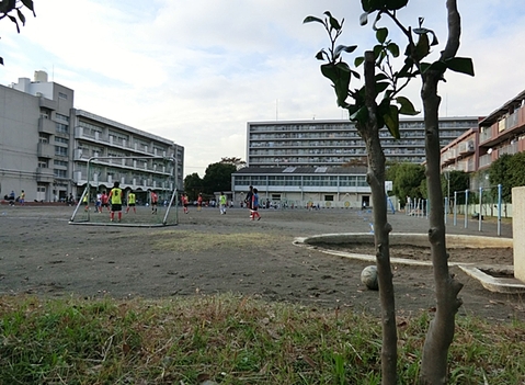 横浜市立大豆戸小学校　距離約150m