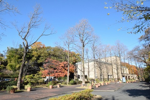 町田市立国際版画美術館　距離約800m