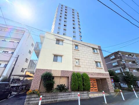 建物外観と前面道路の様子