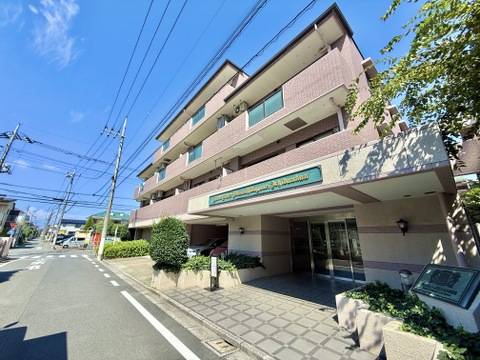 周辺に電線があり住宅街に位置するマンションの外観です