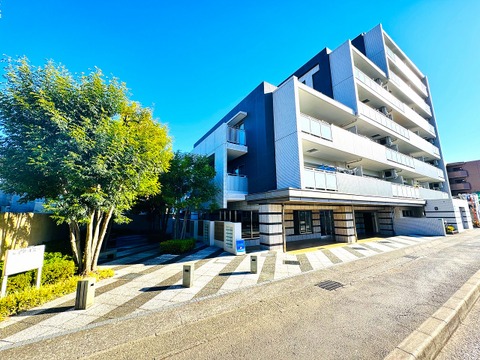 植栽と共に見えるモダンな5階建てマンションの外観