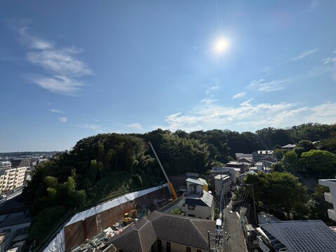 高層階からの緑と街並みが見える眺望です